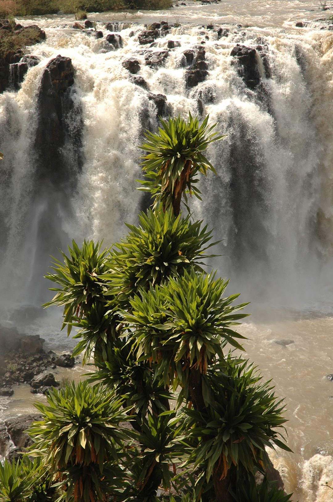 177   Etiopia